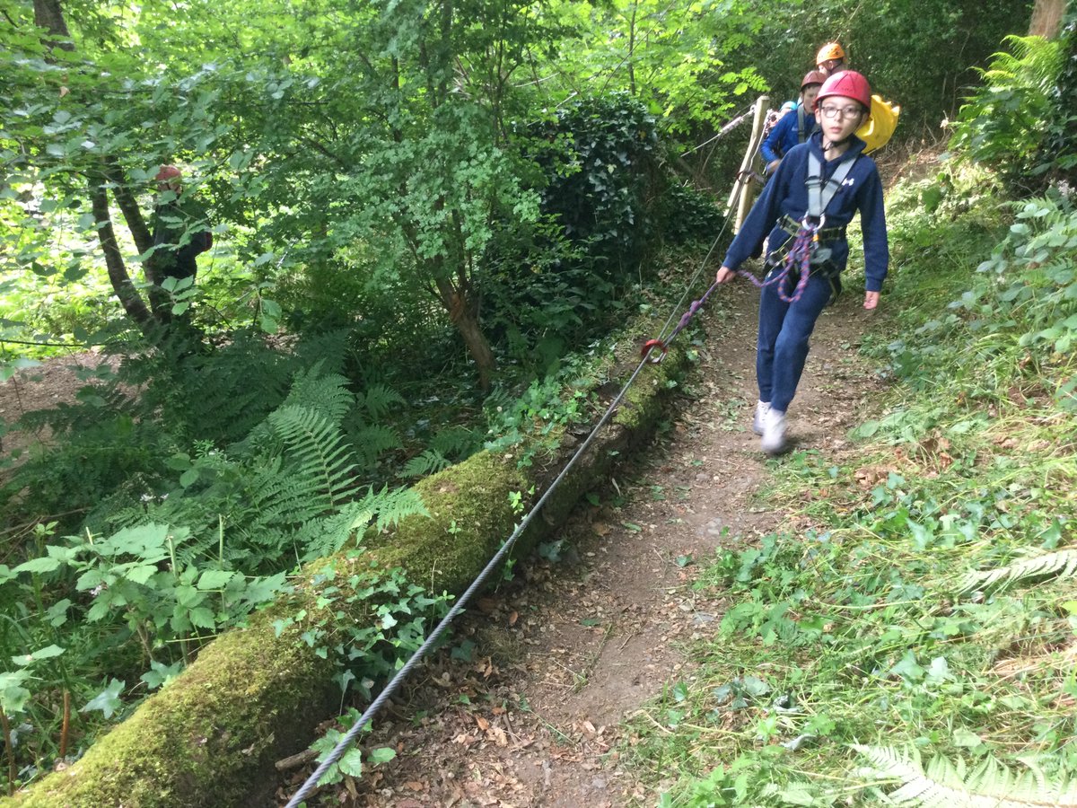 OLWPrimary tweet media