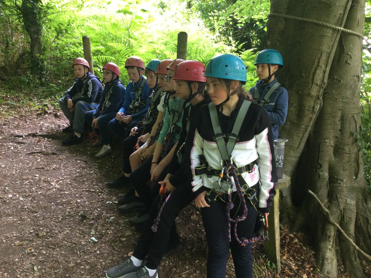 OLWPrimary tweet media