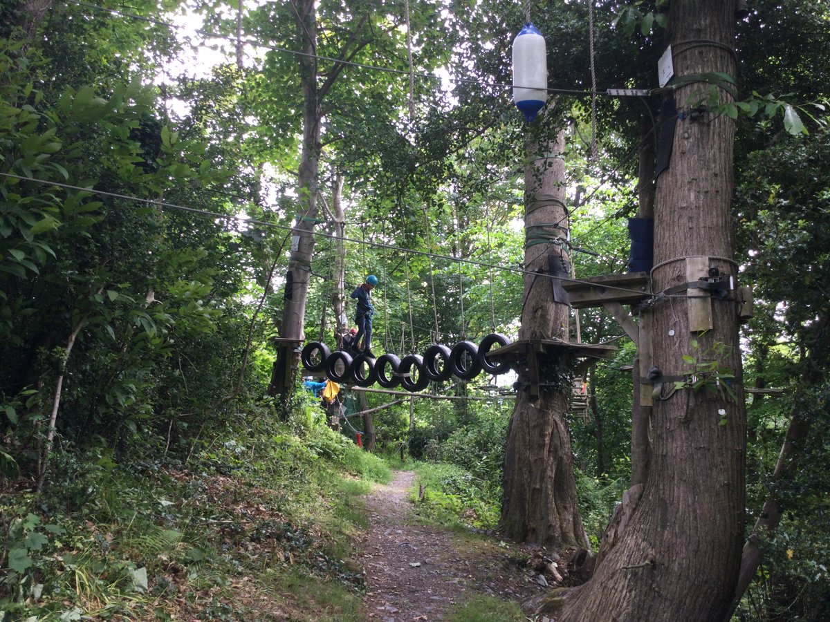 OLWPrimary tweet media