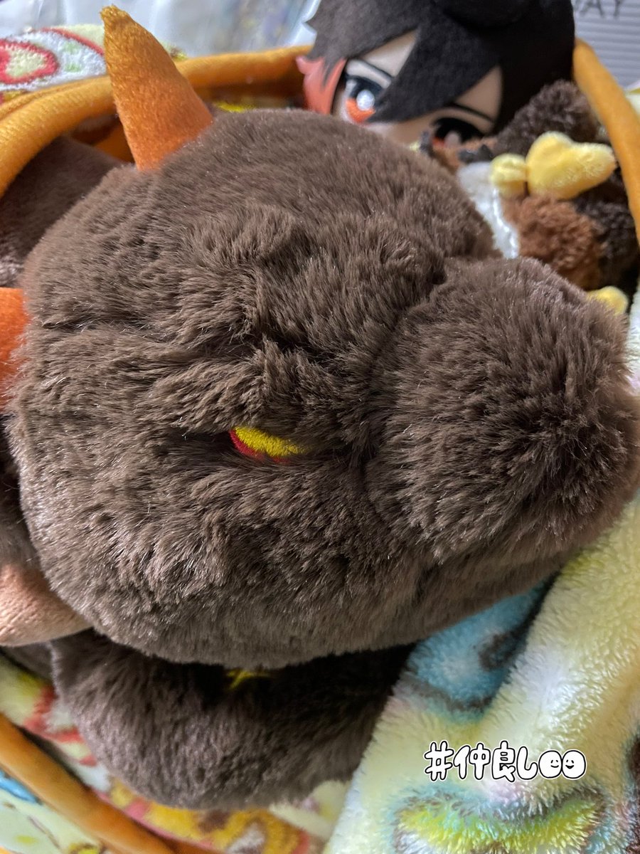 本日のていくん🧸見守り隊員😏