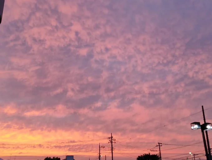 僕の好きな微笑みを重ねて浮かべた夕焼け空 