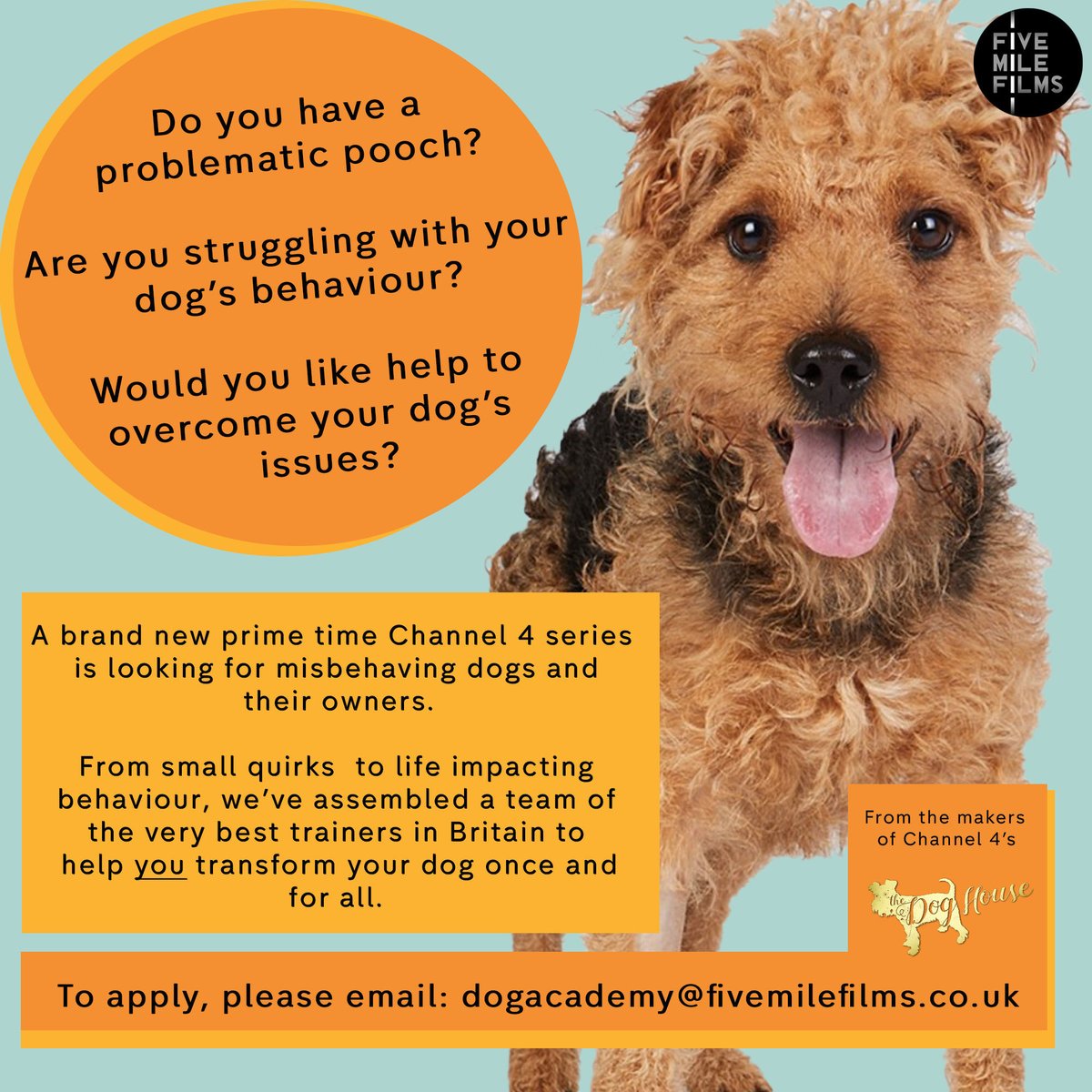 DogAcademyC4's tweet photo. @diversionuk Hi, I hope you don’t mind me messaging you. A brand new Channel 4 series is looking for misbehaving dogs and their owners. I was wondering if you could post/retweet the flyer to help spread the word? Thanks. https://t.co/CB9XqlpNDB