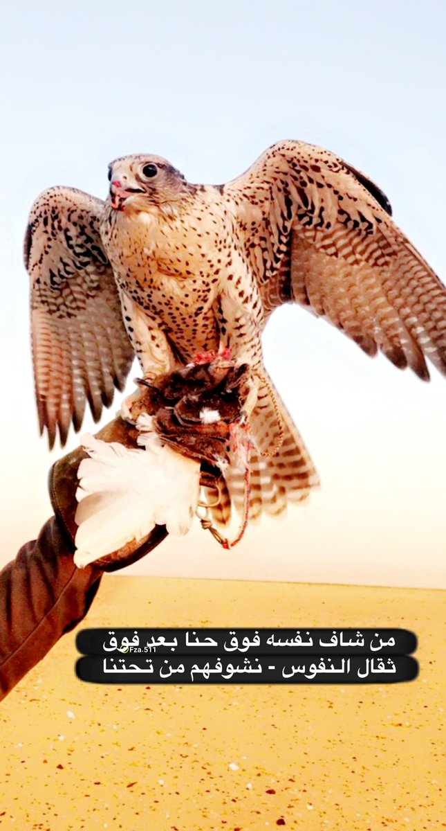 فزاع tweet media