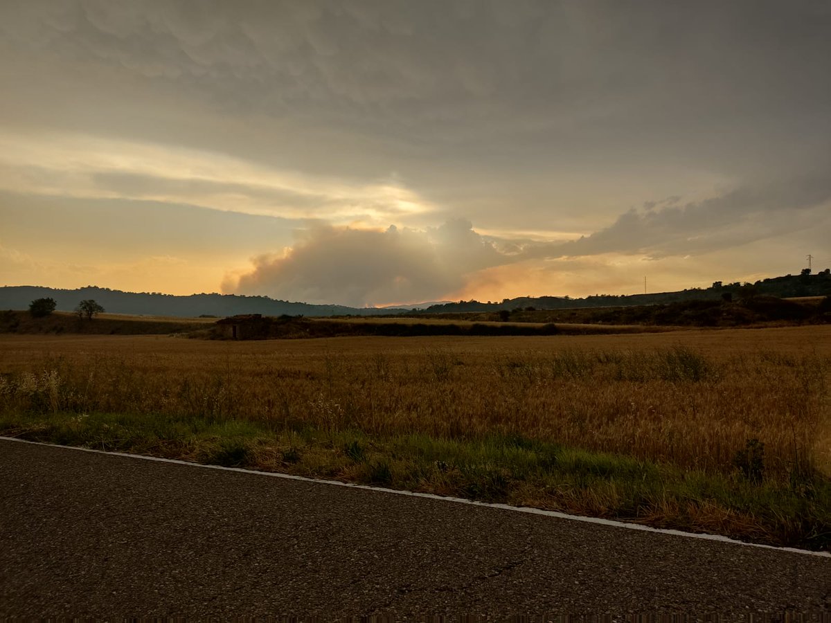 Associació de Dones del Món Rural tweet media