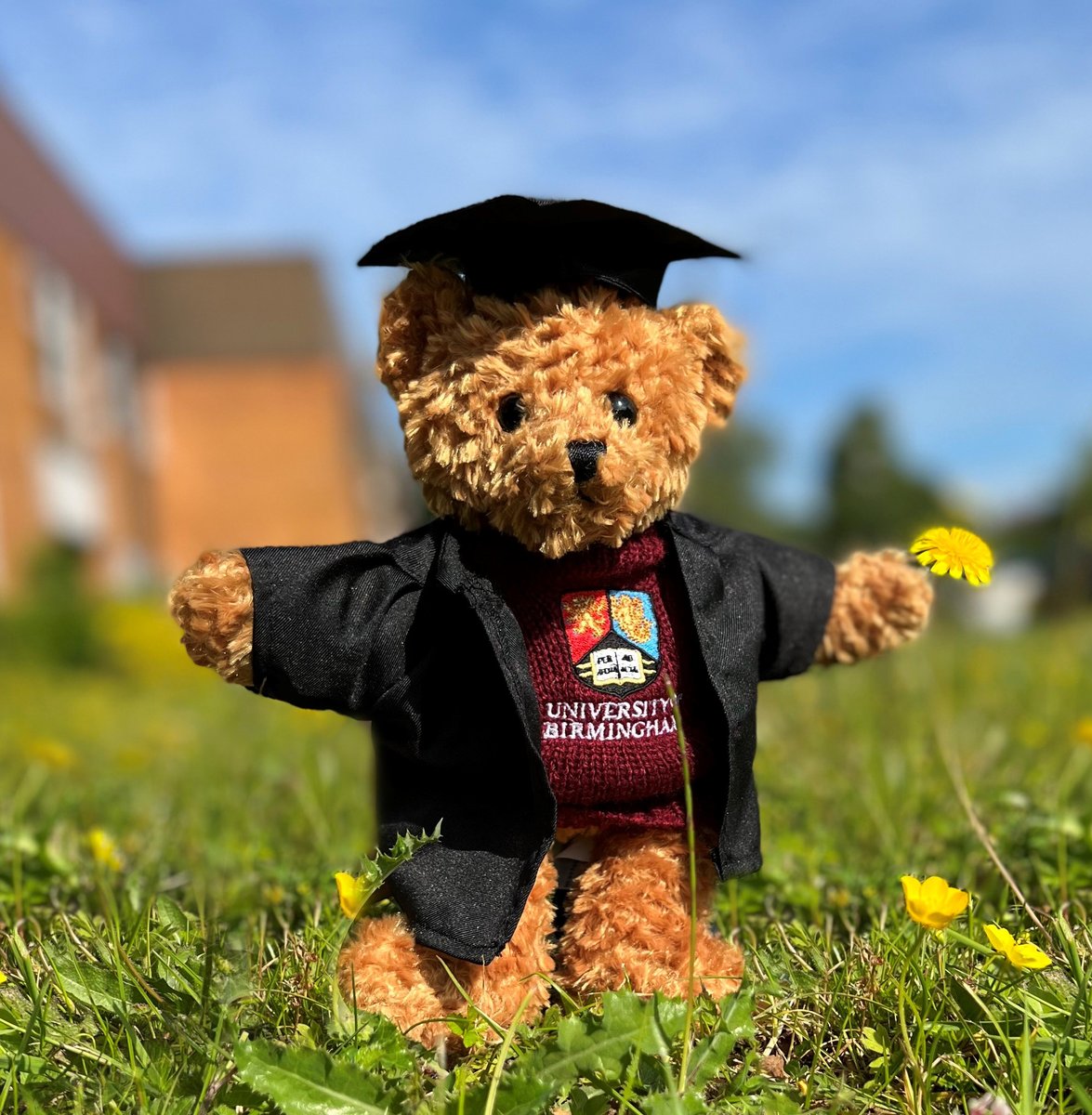 UoBcreative's tweet photo. Creative Media has designed a paw-some 🐾 bear for @unibirmingham’s upcoming graduates 🎓

But we still need a name! Give your suggestions in the comments 💬 https://t.co/X7Dxpeja10