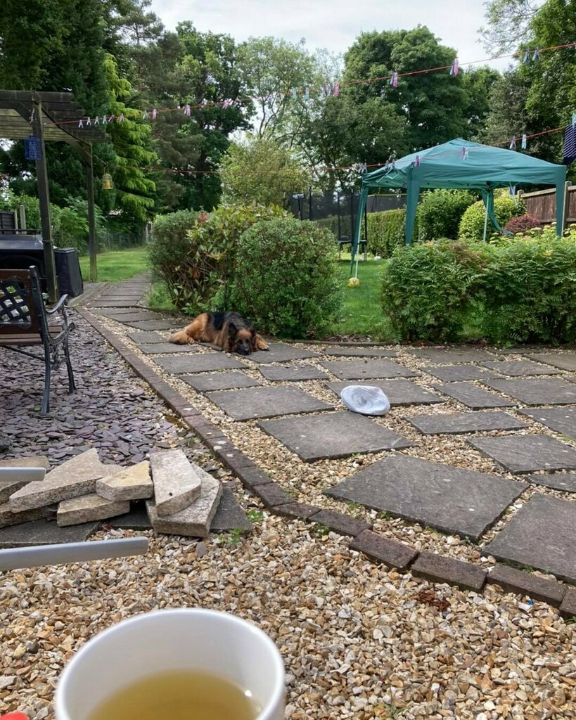 Evolve BD - Karen tweet media