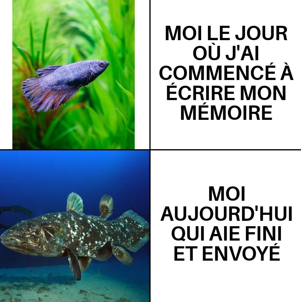 Le mémoire de <a href="/CcstMaster/">Master CCST Grenoble</a> c'est finito ! Des heures de travail enfin achevées ! 

(Dédicace à ma double vie en #biologie #marine 🌊🐟)