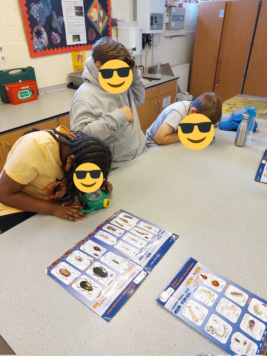 LaycockPrimary's tweet photo. #LaycockYearSix went pond dipping at #Cardfields today. We used nets to catch the tiny creatures, brought them back to the lab and used microscopes to observe them. We identified them using a classification sheet. Guess what we found? A leech and Phantom Midge Larva! https://t.co/tUows75aIe