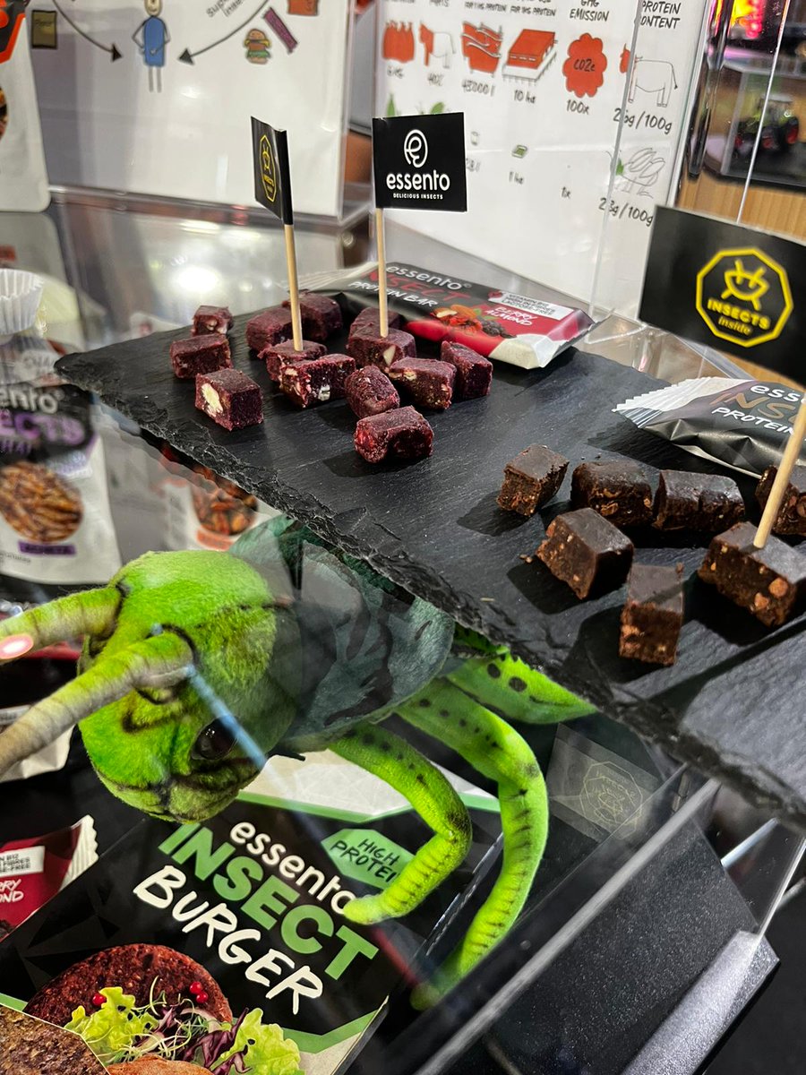 Cre8eight_'s tweet image. Instant dégustation d&apos;insectes avec @essentofood très original, les 🦗 au goût paprika étaient même plutôt bons ! 
#cre8 #vivatech #vivatechbyiim #iim #pulv #vivatech2022