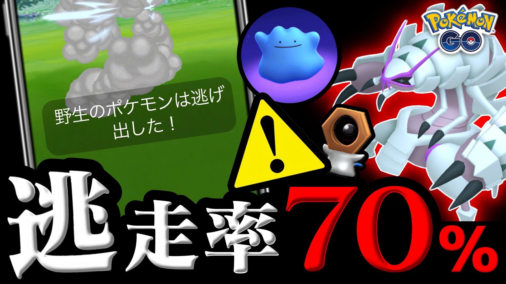 Tarcy ターシー Tarcy009 Twitter