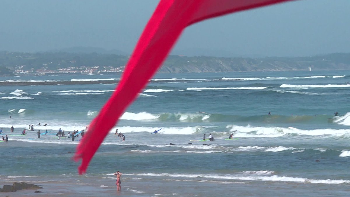 France 3 Aquitaine tweet media