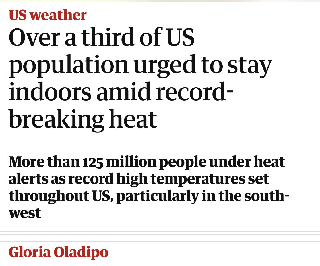 John Gibbons 🇵🇸 tweet media