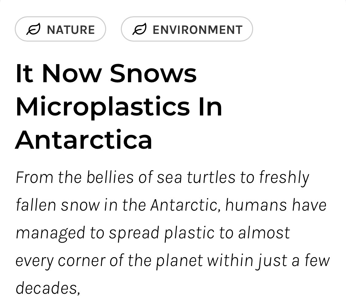 John Gibbons 🇵🇸 tweet media