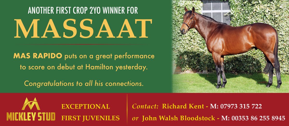 ✨ Another First Crop 2yo winner for @MickleyStud's MASSAAT 🏇 MAS RAPIDO puts on a great performance to score on debut at @HRacecourse yesterday 🌟 Congratulations to all his connections 📲 For more info and to book a nomination contact Richard Kent or John Walsh Bloodstock