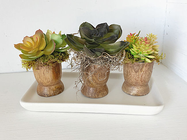 HomeroadSusan's tweet image. Faux plants are my choice and when you can make them yourself all the better! ❤️🪴

homeroad.net/2022/06/egg-cu…

#succulents #diysucculents #fauxplants