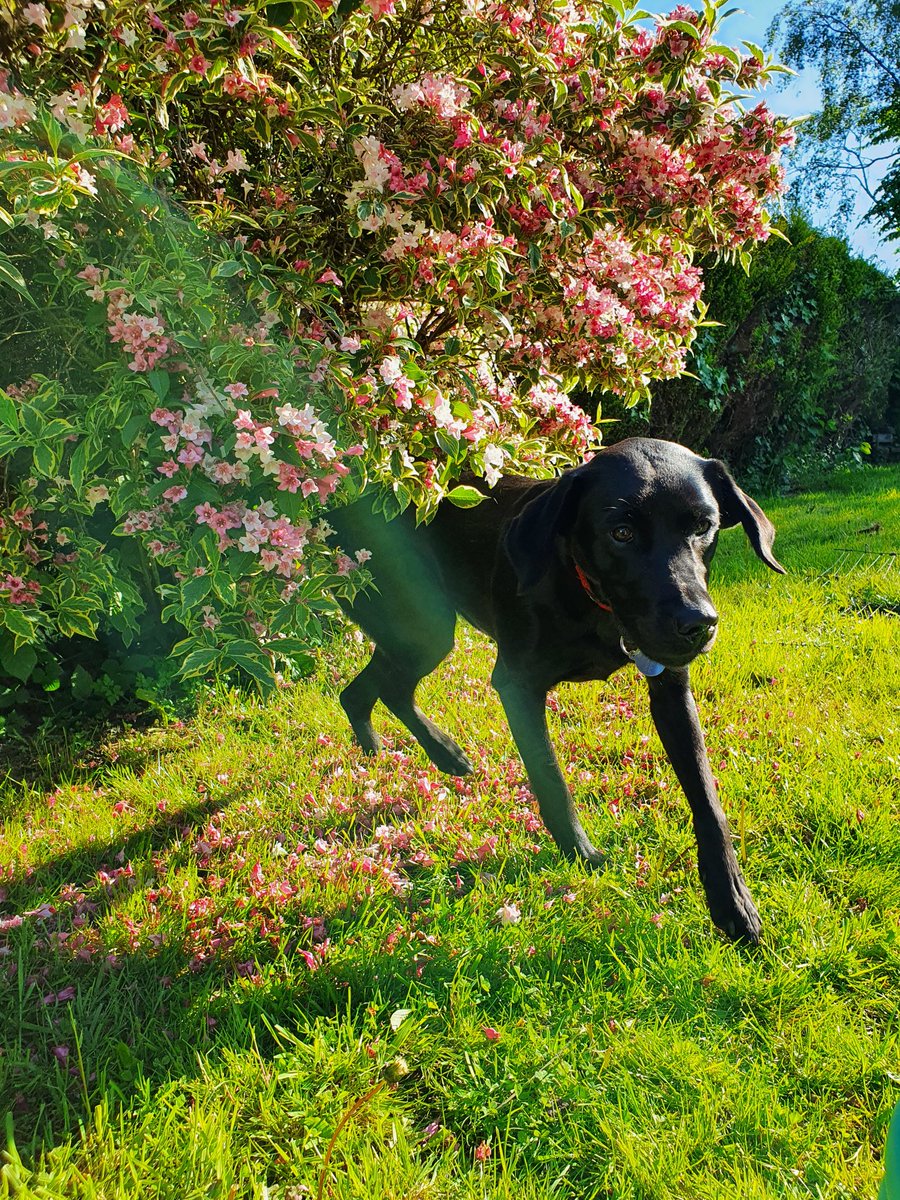 Playing in the sunshine today!