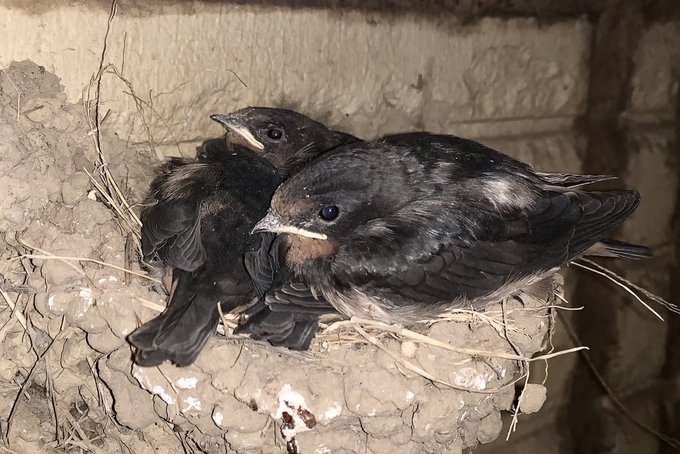 えまって、成長早くない!?!? 