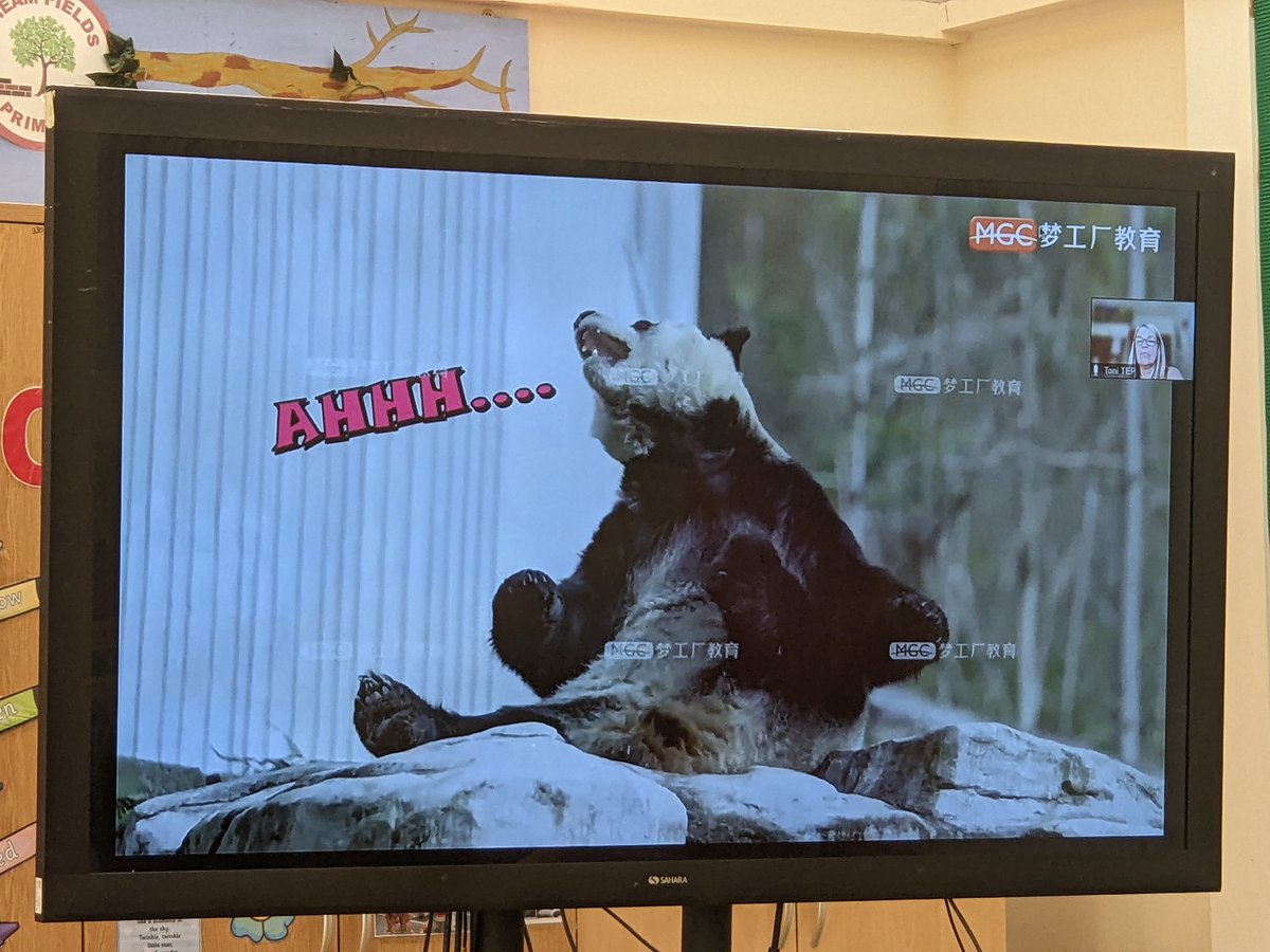 Alison Day tweet media