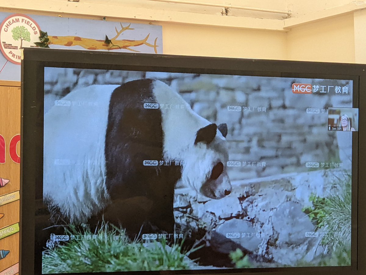 Alison Day tweet media