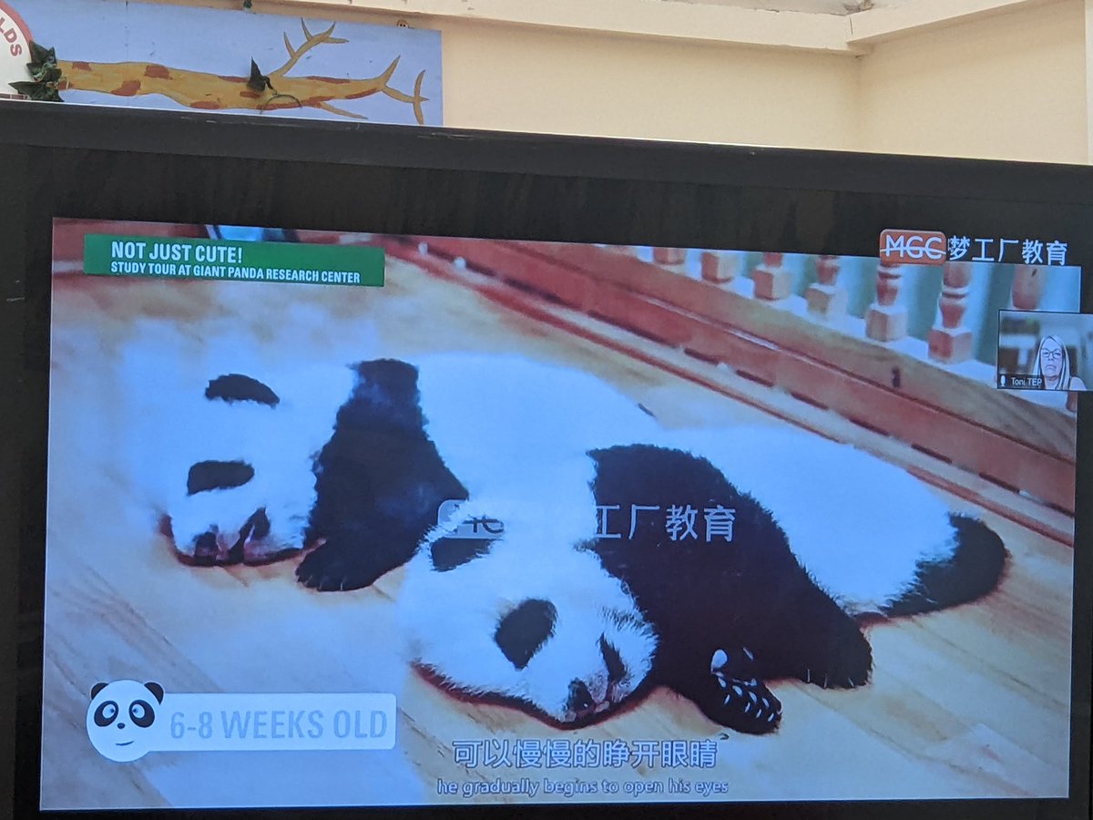 Alison Day tweet media