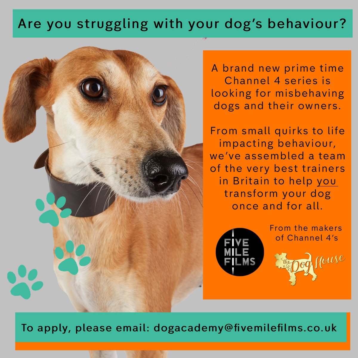 DogAcademyC4's tweet photo. @DiverseSchool Hi, I hope you don’t mind me messaging you. A brand new Channel 4 series is looking for misbehaving dogs and their owners. I was wondering if you could post/retweet the flyer to help spread the word? Thanks. https://t.co/QvYhcBiZlG