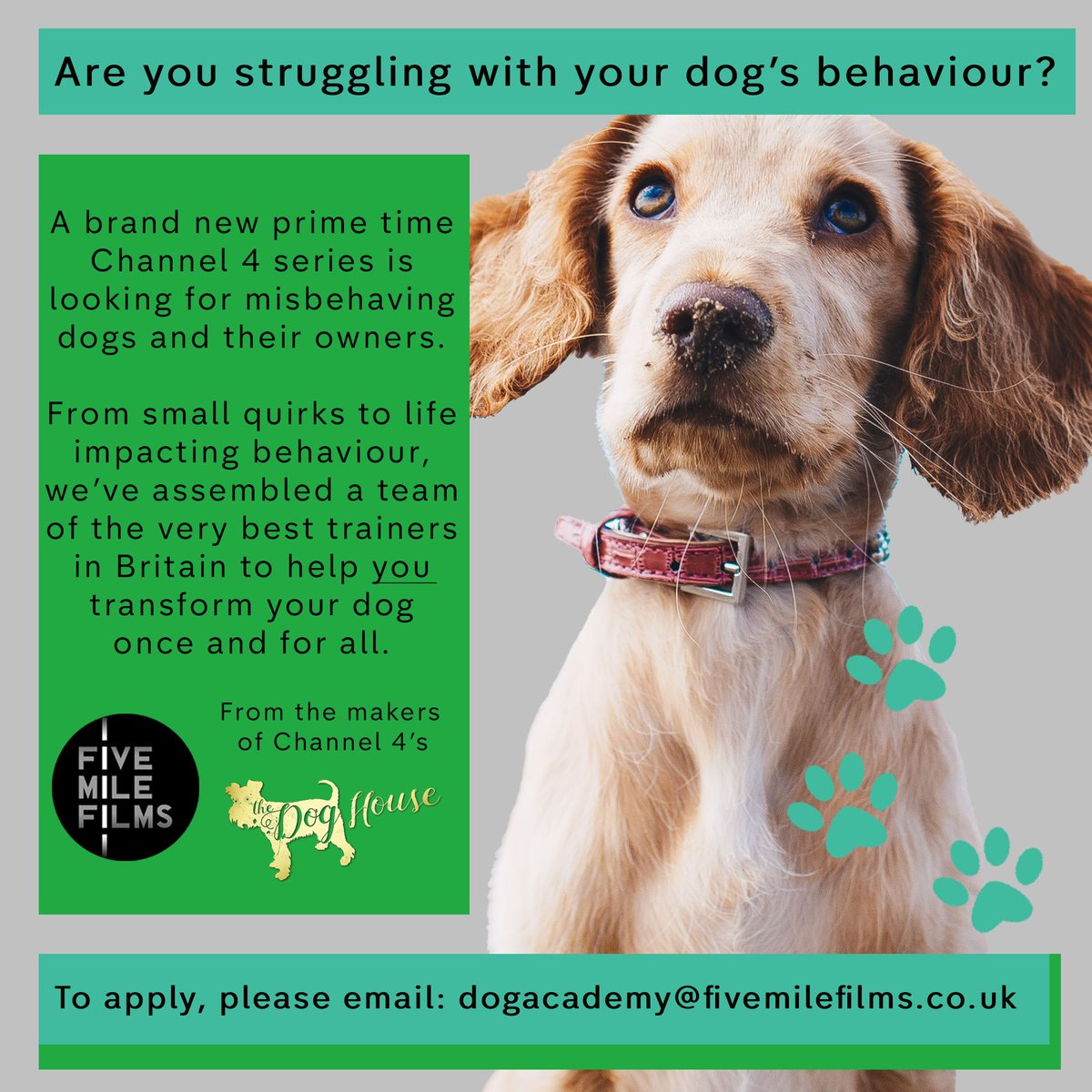 DogAcademyC4's tweet photo. @WeAreGroupM Hi, I hope you don’t mind me messaging you. A brand new Channel 4 series is looking for misbehaving dogs and their owners. I was wondering if you could post/retweet the flyer to help spread the word? Thanks. https://t.co/EIceJqPYXx