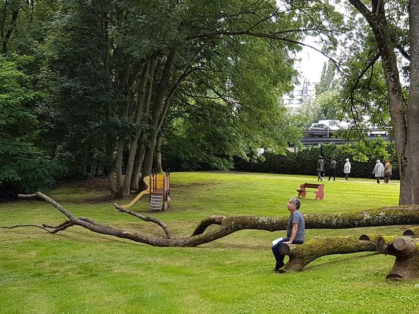 🌳☀‍Geniet van 15 juni tot 21 augustus van het nieuwe park Evenepoel met meer dan 1ha op de site van <a href="/mediaparkbru/">mediapark.brussels</a>! Dit project geeft een voorproefje van de toekomstige groene ruimten die uiteindelijk toegankelijk zullen zijn voor de buurtbewoners!

ℹ️👉sau.brussels/fr/actualites/…