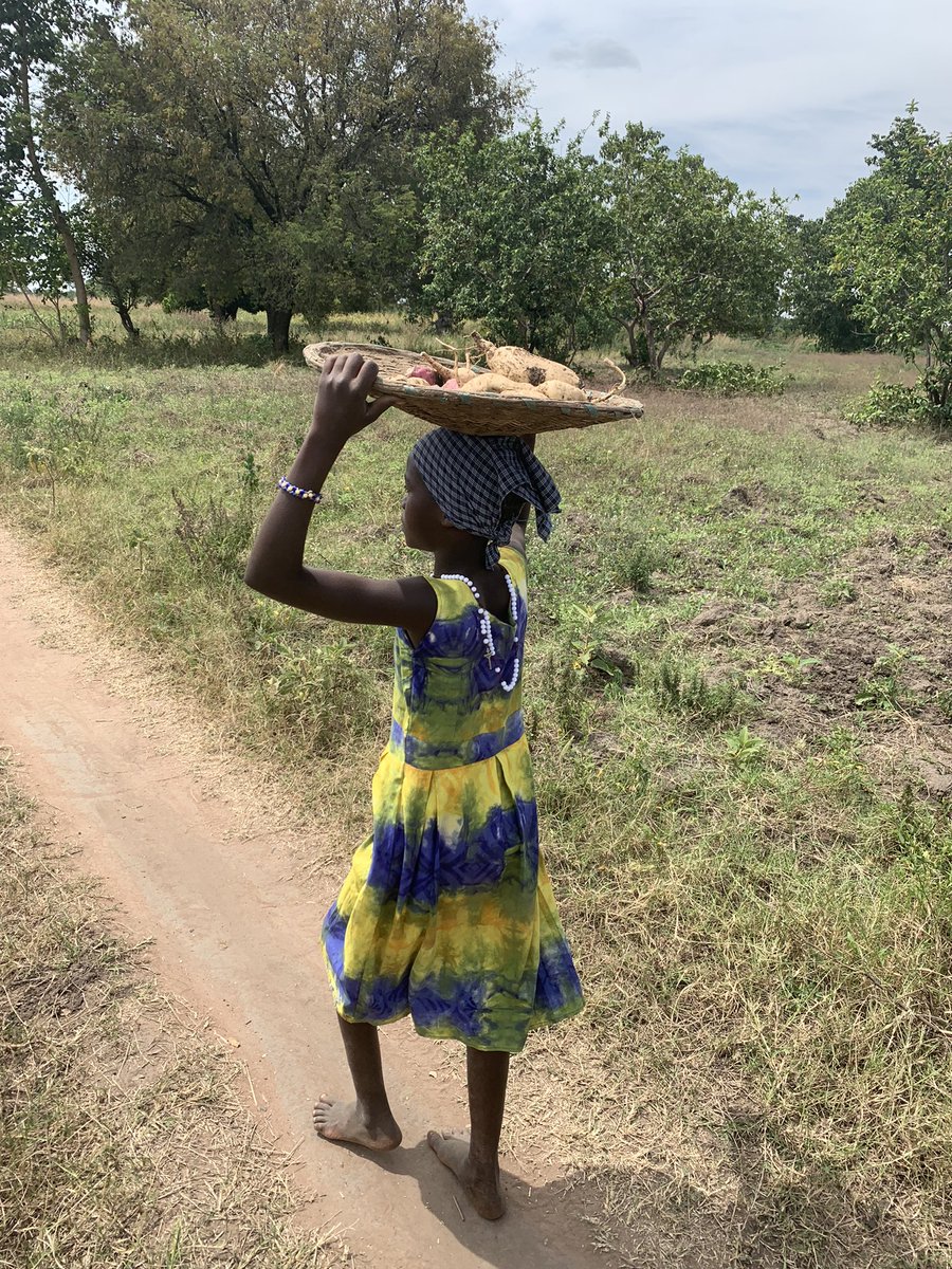 CGE_Carlow's tweet photo. International #DayoftheAfricanChild  Precious lives so vulnerable to disease, climate change, gender-based violence, conflict, and poverty. @Carlow is taking a team of DNP and PsyD students to Uganda this July in collaboration with our partners there #AVCR, #SMILE https://t.co/EjVDca5X7P
