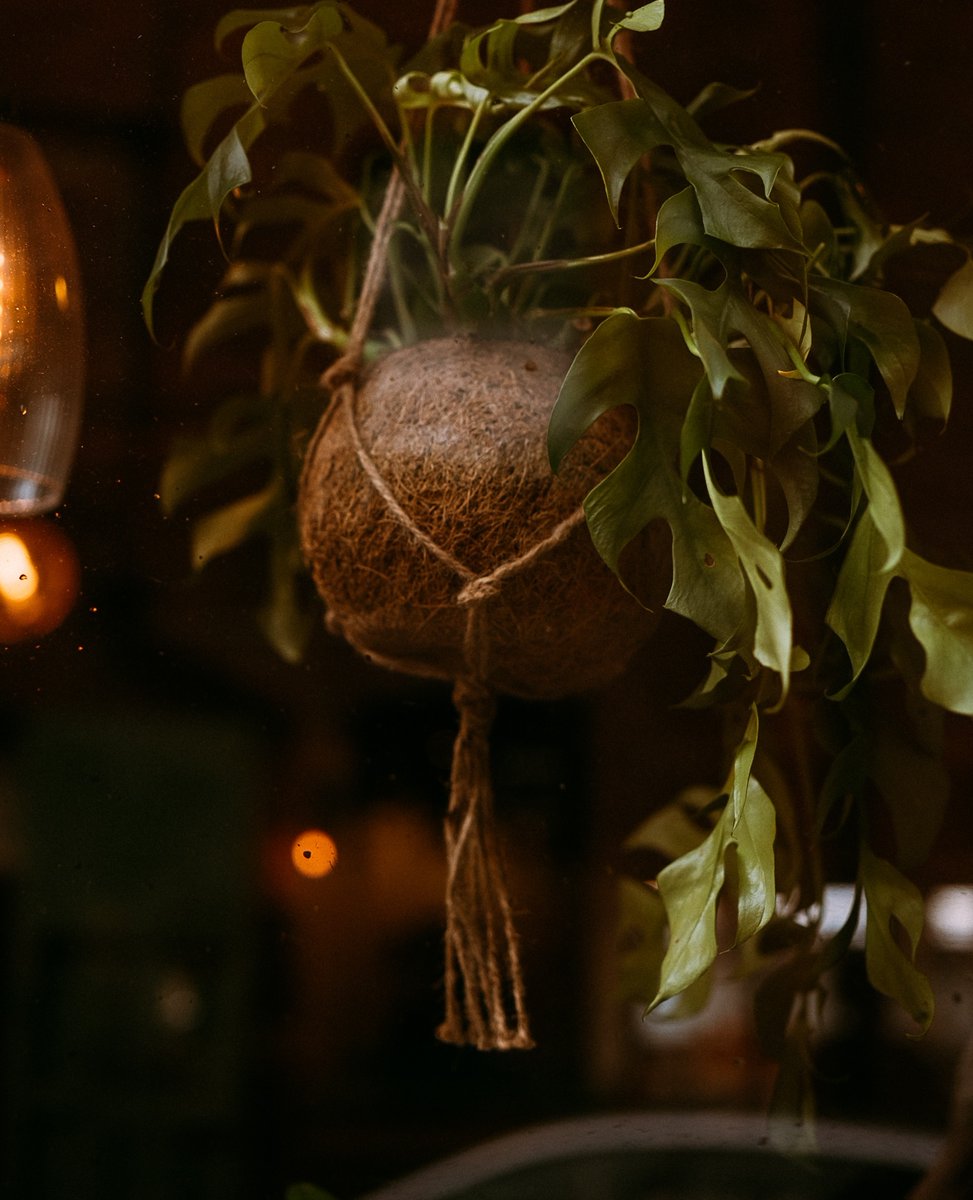 aruleoftum's tweet image. 🎁 We sell gift vouchers!

You can buy gift vouchers for all of our restaurants online, just head to aruleoftum.com scroll to the bottom and click 'Buy a Voucher'

#aruleoftum #giftvouchers