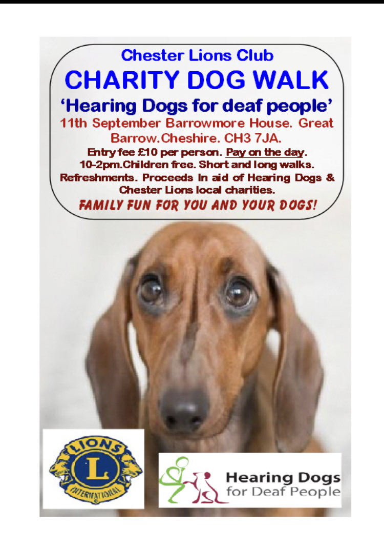 Chester Lions UK (@chesterlionsuk) on Twitter photo 