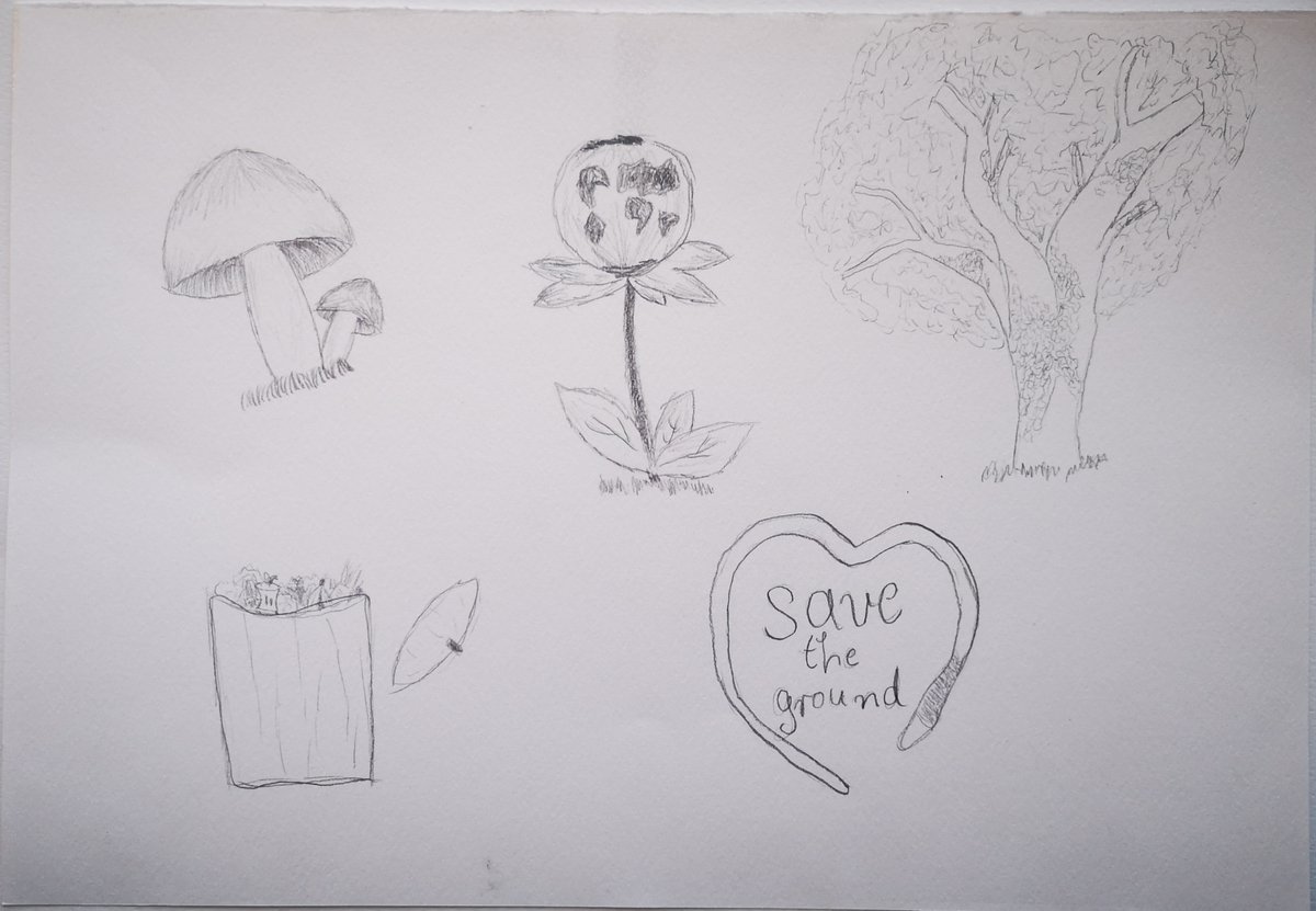 exhibitSaveSoil's tweet photo. Thank you to all the children at Oš August Harambašić in Donji Miholjac, Croatia, for raising your voice for soil! It's time we have policies for healthy soil, full of life. Let's make it happen! #SaveSoil #Spasimotlo #ExhibitSaveSoil https://t.co/eUT5xopfVD
