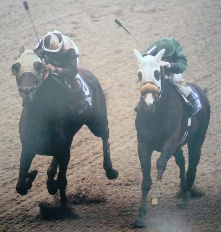 HORSERACING1002's tweet photo. PROUD TRUTH vs GATE DANCER. #ProudTruth #GateDancer https://t.co/8b4ad1QiZb