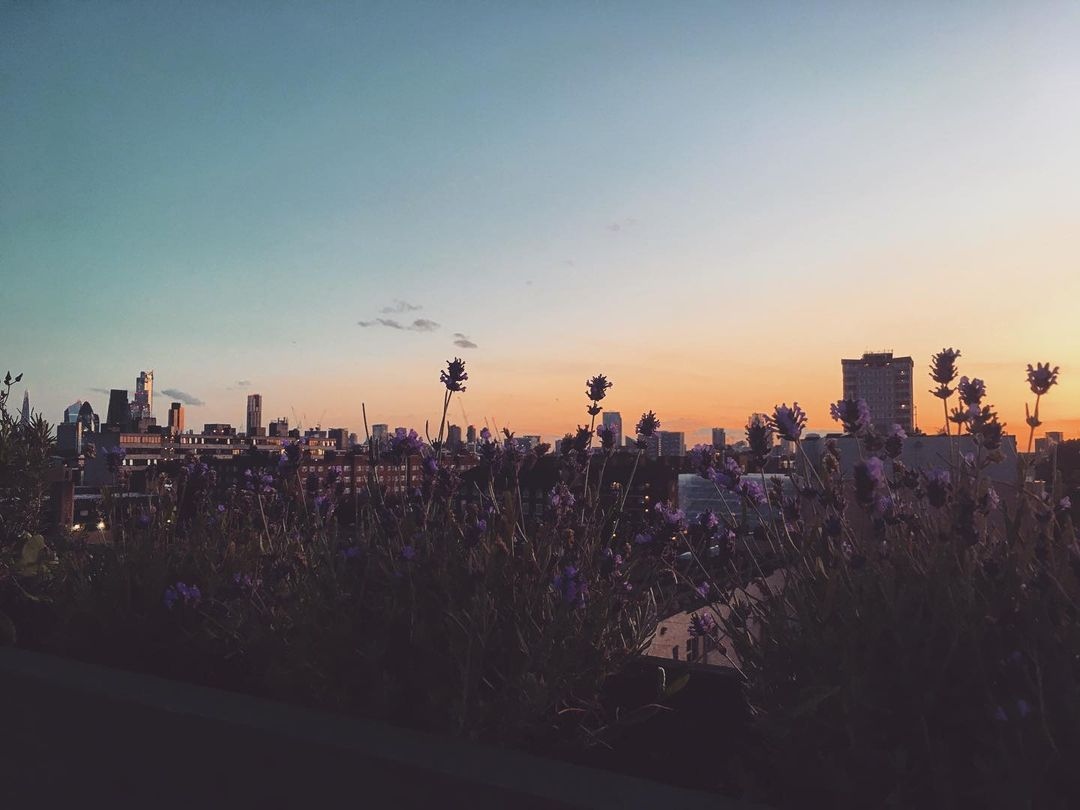 netil360 tweet media