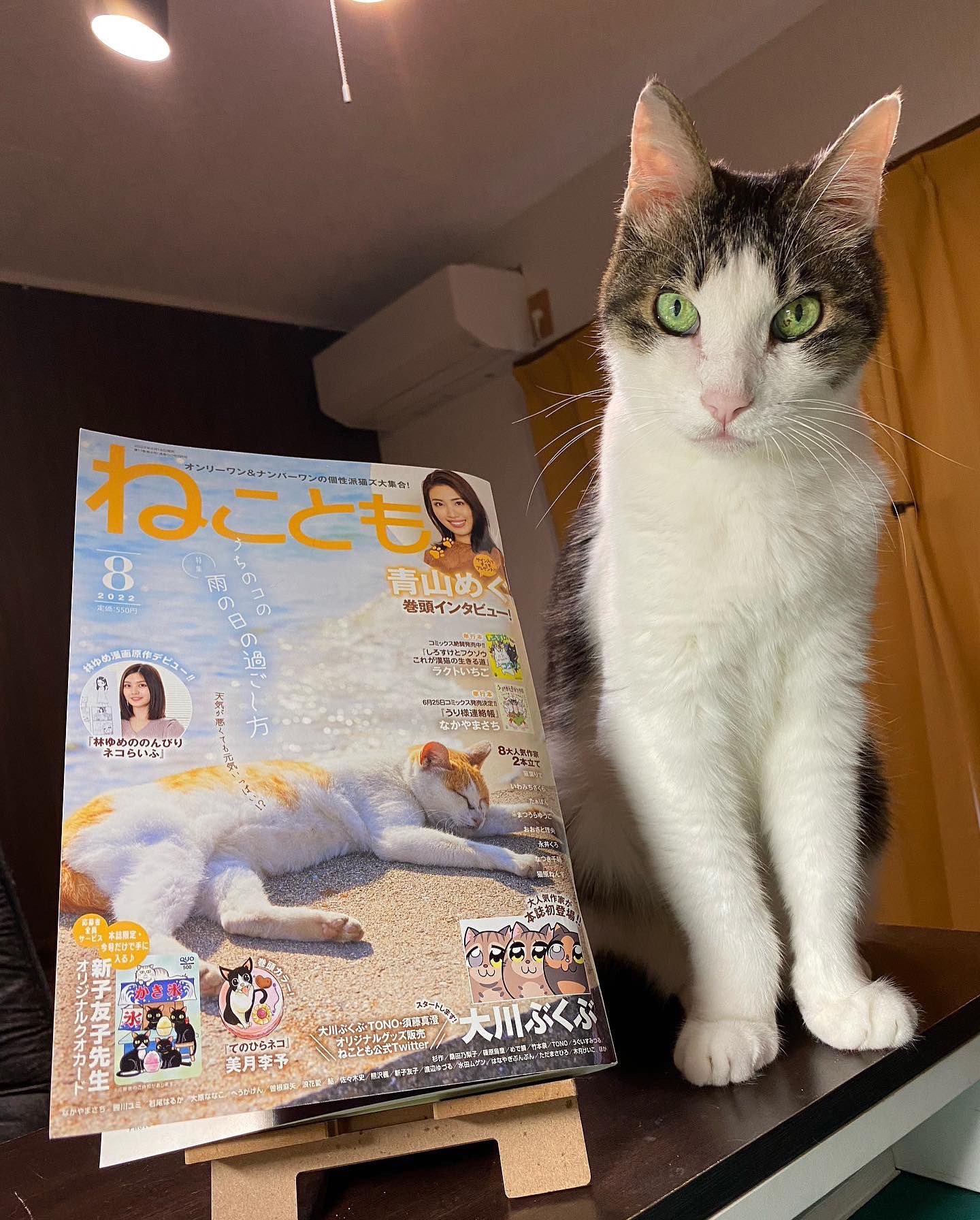 なつき千穂 Eegkuzve9ja63sj Twitter