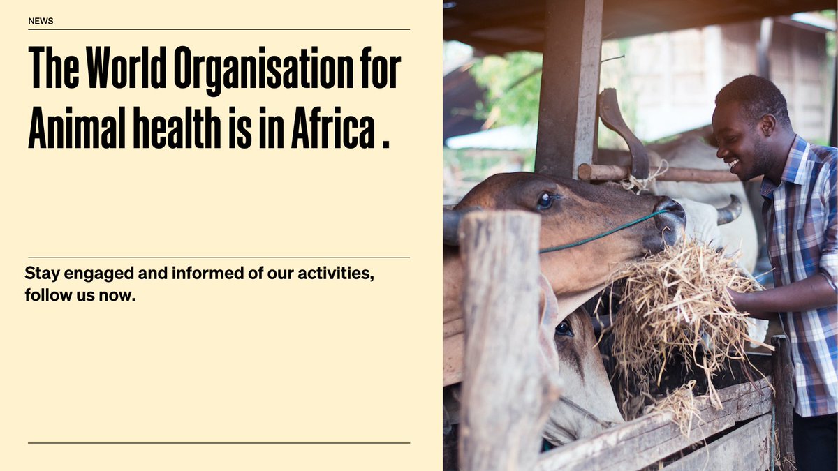 World Organisation for Animal Health in Africa (@WOAH_Africa) / Twitter