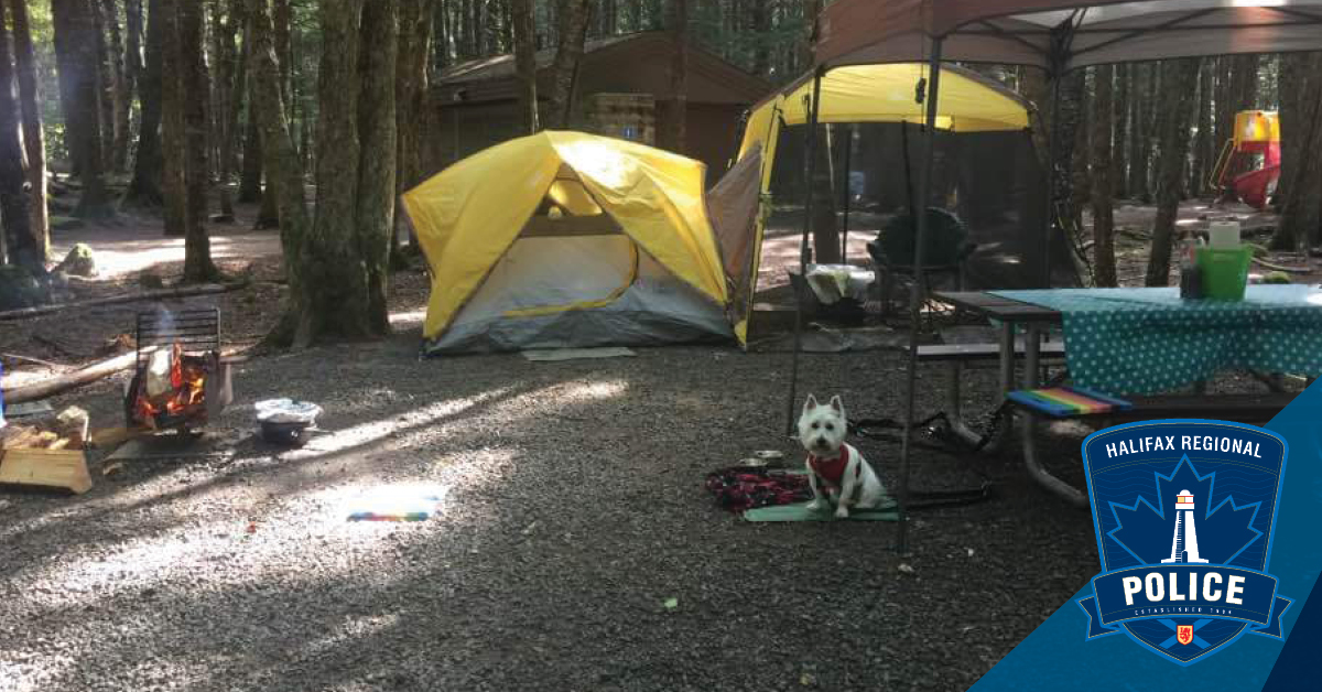 Halifax_Police tweet media