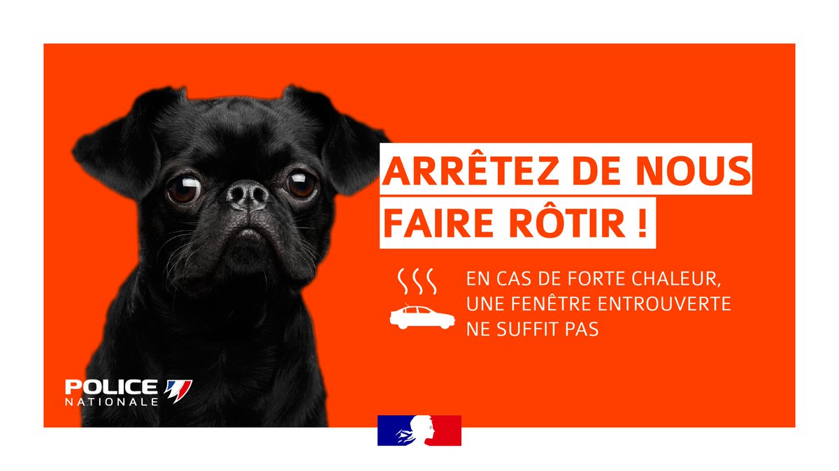 [#Chaleur]  Ne laissez pas vos animaux enfermés dans votre voiture !
Un véhicule garé en plein soleil peut vite atteindre et dépasser les 50°degrés. 
#ProtegeonsNosAnimaux