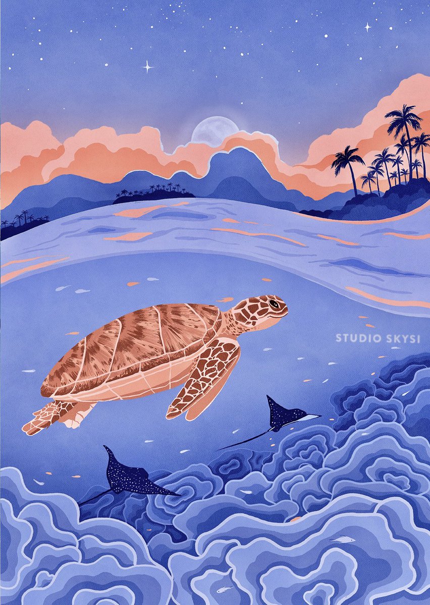 Happy #WorldSeaTurtleDay! It’s always a good day if you spot a turtle swimming along 🌊