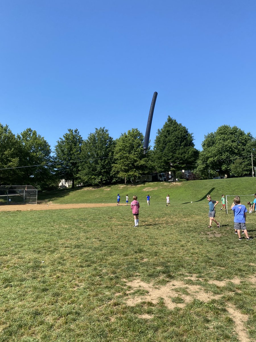 Miss Aronson's Sunflowers 💛 tweet media