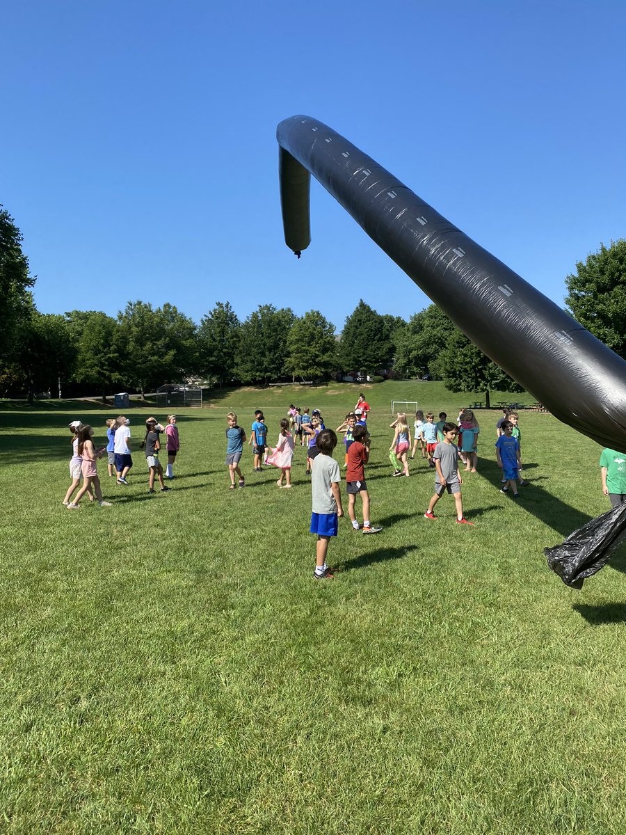 Miss Aronson's Sunflowers 💛 tweet media