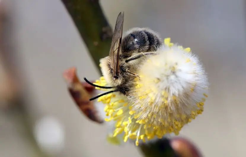 Le Média Positif 🍀 tweet media