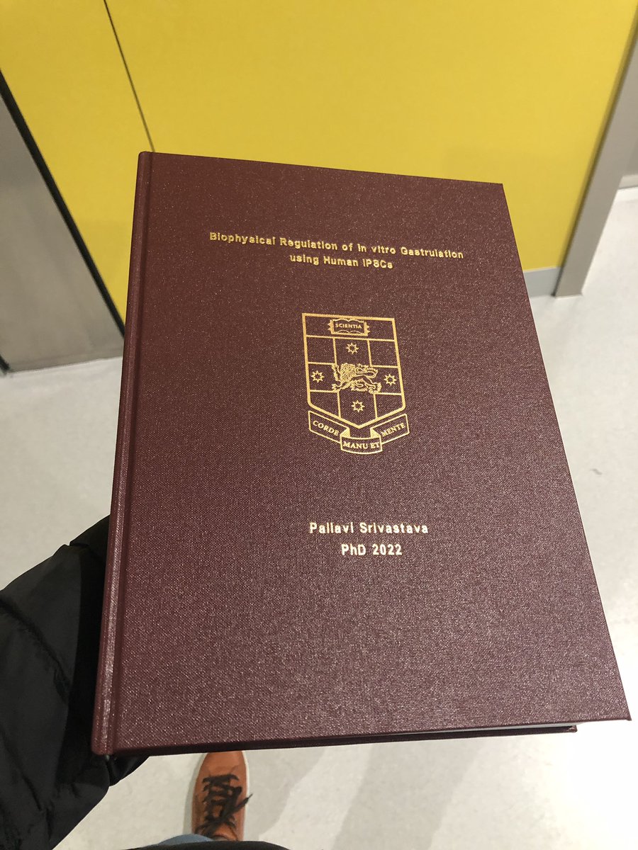 vee_tava's tweet photo. @UNSWGRS did not require students to print their thesis, but thankfully, @KrisKilian insisted and I’m so happy to see my thesis hard bound! 🥹 Look. How. Gorgeous!! #phdthesis #hardbound #phdlife #bundleofjoy #cantkeepcalm @AcademicChatter @PhDVoice https://t.co/bonn72JMRR