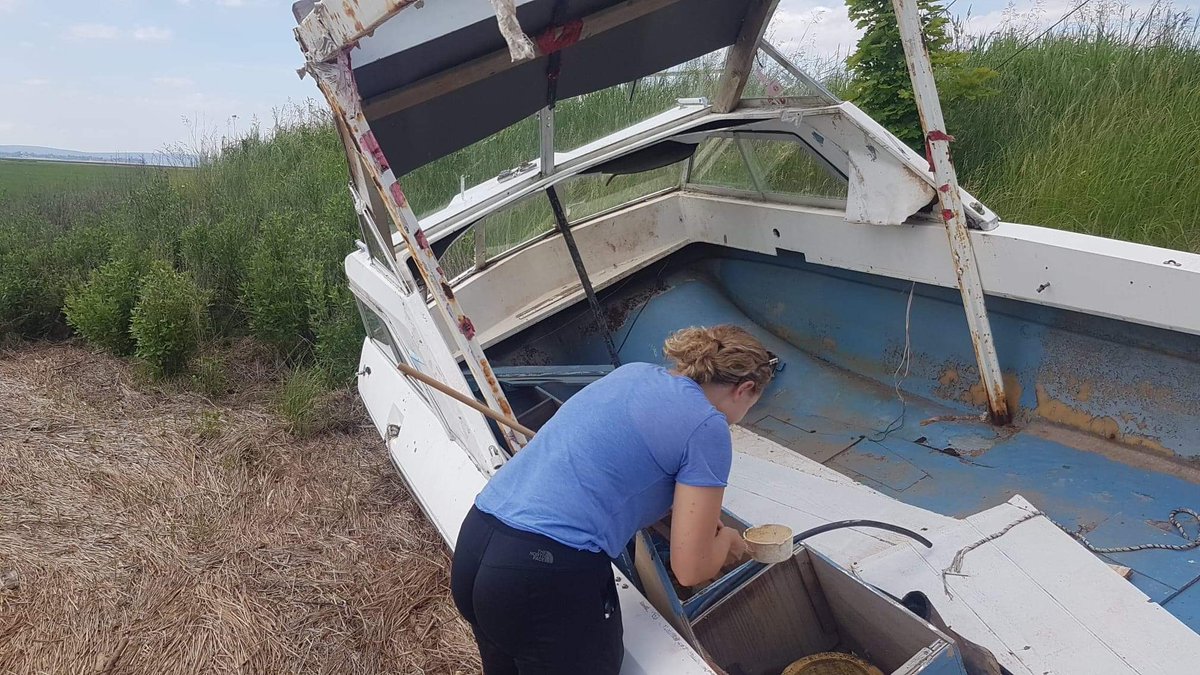 AcadiaMosquito's tweet image. Sometimes we collect mosquitoes in pretty interesting places! Some of the best are a  🚽toilet graveyard, ⛴ a washed-up boat,  a truck 🛻, and a waterfall🌊
