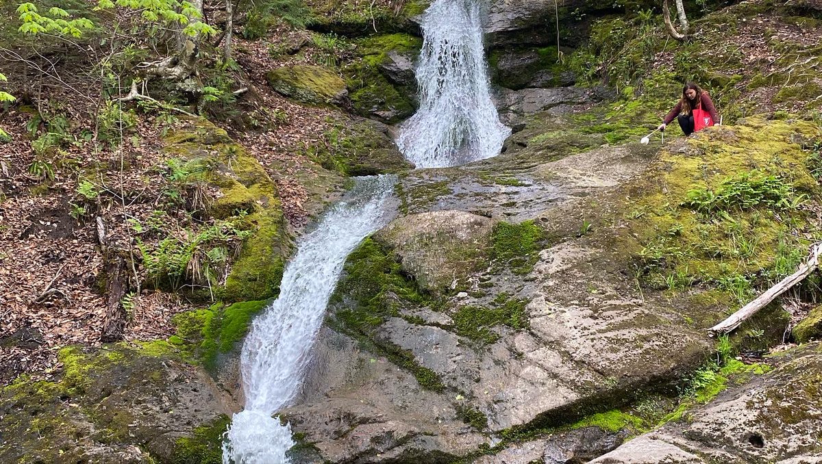AcadiaMosquito's tweet image. Sometimes we collect mosquitoes in pretty interesting places! Some of the best are a  🚽toilet graveyard, ⛴ a washed-up boat,  a truck 🛻, and a waterfall🌊