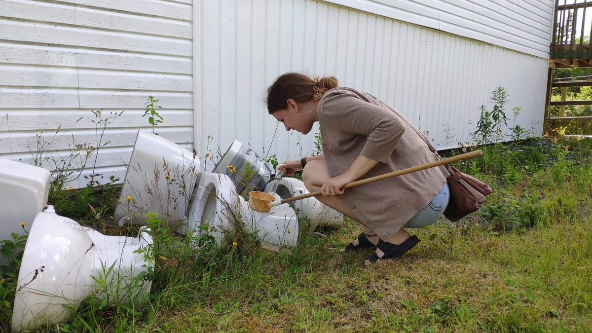 AcadiaMosquito's tweet image. Sometimes we collect mosquitoes in pretty interesting places! Some of the best are a  🚽toilet graveyard, ⛴ a washed-up boat,  a truck 🛻, and a waterfall🌊