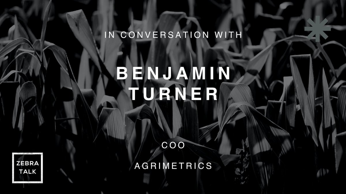 The Zebra Project tweet media