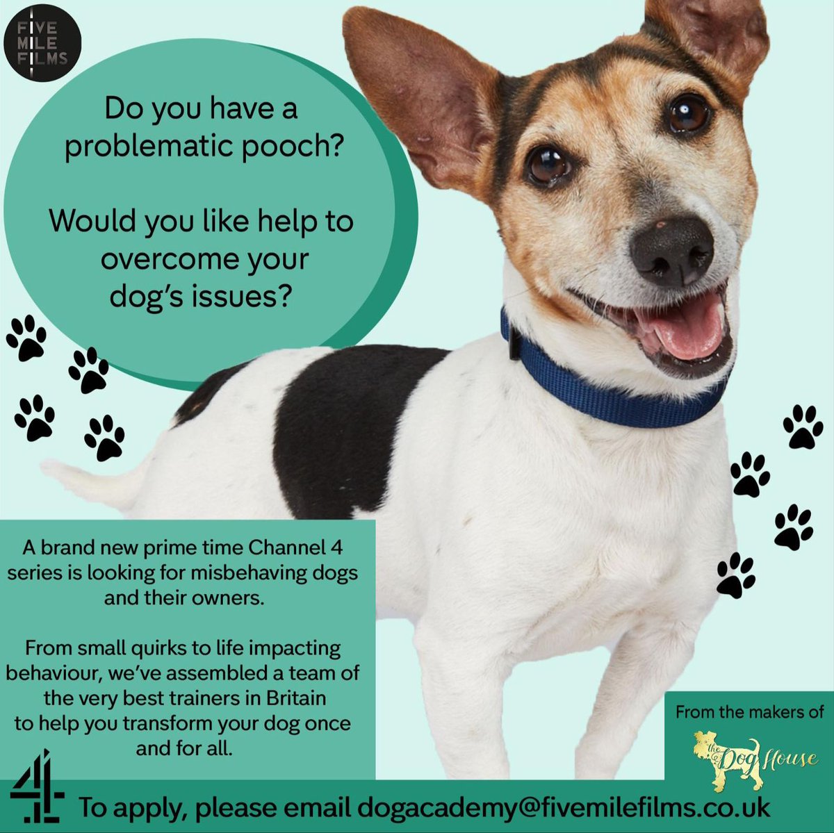 DogAcademyC4's tweet photo. @IntertechLGBT Hi, I hope you don’t mind me messaging you. A brand new Channel 4 series is looking for misbehaving dogs and their owners. I was wondering if you could post/retweet the flyer to help spread the word? Thanks. https://t.co/kAR2jLH966