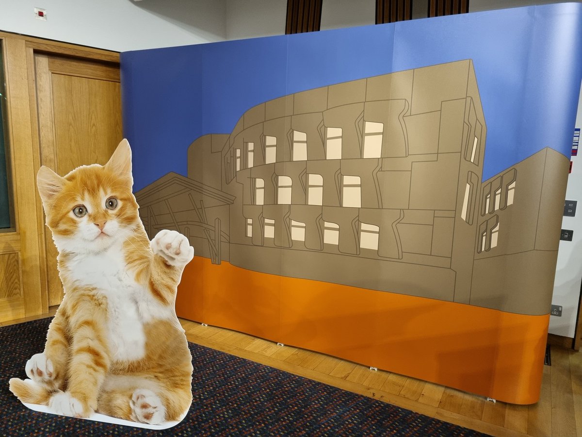 Quantum_Comms's tweet photo. MSPs and parliament staff... Come along to the @CatsProtection exhibition in Committee Room One from 1pm today... #thetimeismeow https://t.co/AIiGrZ6WQu