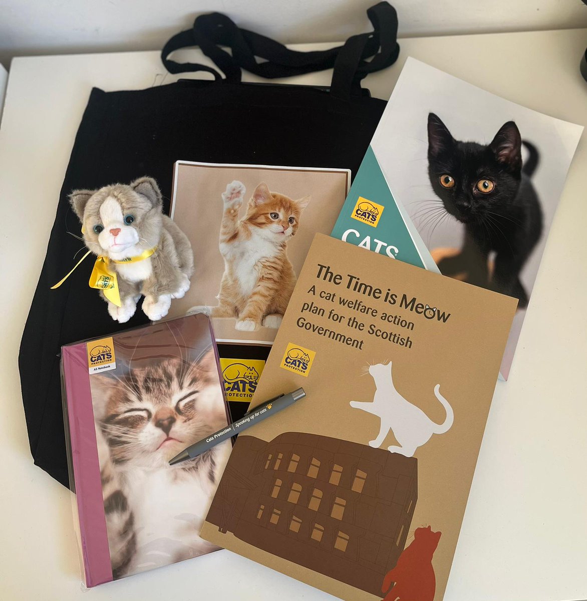 Quantum_Comms's tweet photo. MSPs and parliament staff... Come along to the @CatsProtection exhibition in Committee Room One from 1pm today... #thetimeismeow https://t.co/AIiGrZ6WQu