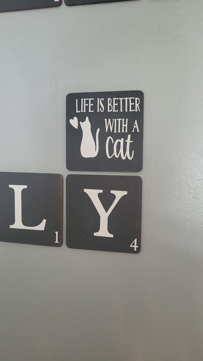 crafts_mc's tweet photo. Don't often make anything for myself, but I love this. #scrabbletiles #availabletobuy #custommade #smallbusiness #handmade @JulieMcAdam35 https://t.co/UM8zMqIRAk